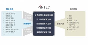 品鈦賦能企業(yè)分期消費 高效解決方案引領金融信息服務新篇章